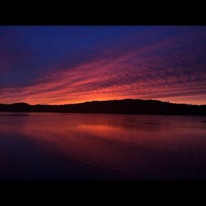 Meet your Posher, Ava